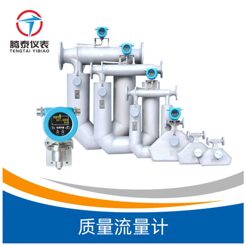 質(zhì)量流量計(jì)