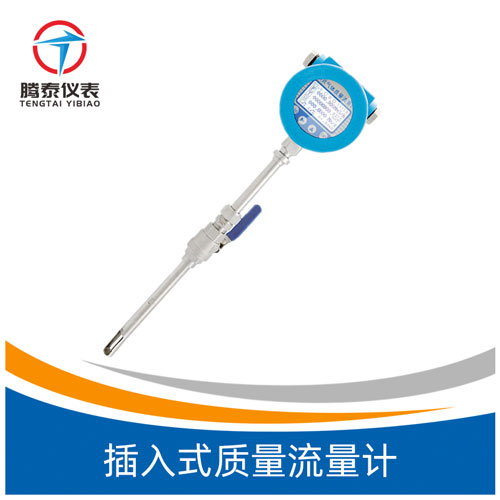 插入式質(zhì)量流量計(jì)