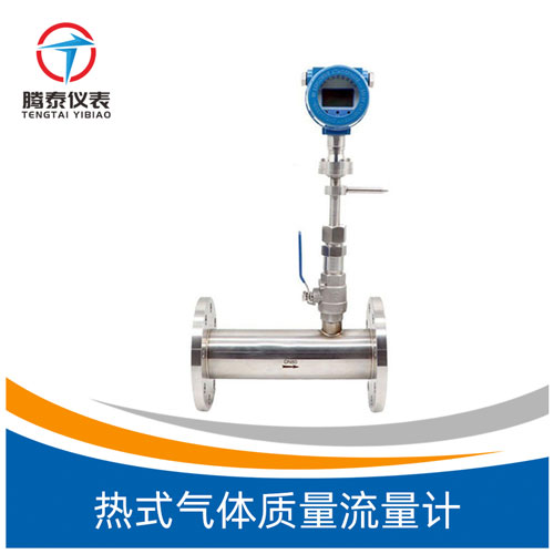 熱式氣體質(zhì)量流量計(jì) 熱式氣體質(zhì)量流量計(jì)