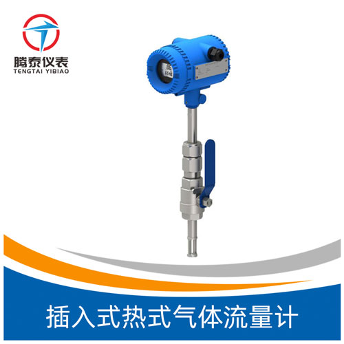 插入式熱式氣體流量計(jì)