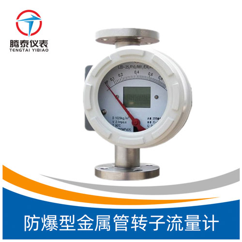 防爆型金屬管轉(zhuǎn)子流量計